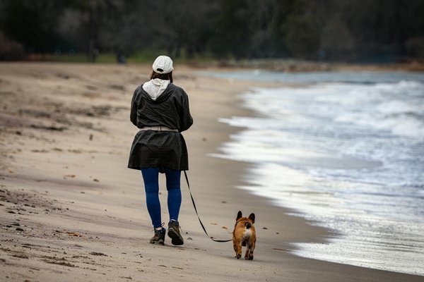 Hoe kunnen we de biodiversiteit beschermen in onze achtertuin?